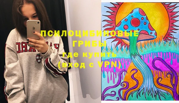 дурь Козельск