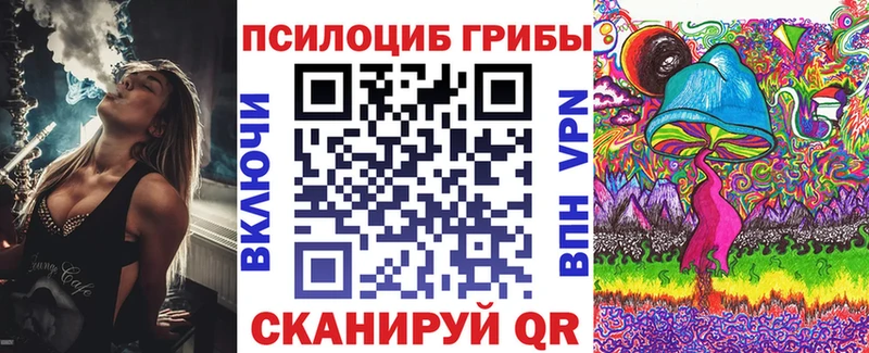 Купить где  Новоуральск  Псилоцибиновые грибы Cubensis 